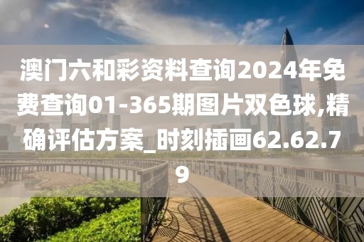 澳门六和彩资料查询2024年免费查询01-365期图片双色球,精确评估方案_时刻插画62.62.79