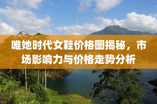 唯她时代女鞋价格图揭秘，市场影响力与价格走势分析