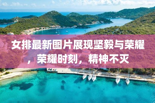 女排最新图片展现坚毅与荣耀，荣耀时刻，精神不灭