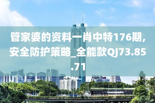 管家婆的资料一肖中特176期,安全防护策略_全能款QJ73.85.71