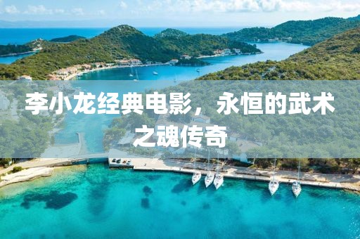 李小龙经典电影，永恒的武术之魂传奇
