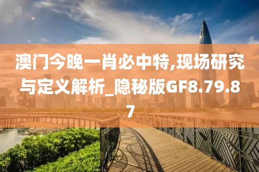 澳门今晚一肖必中特,现场研究与定义解析_隐秘版GF8.79.87
