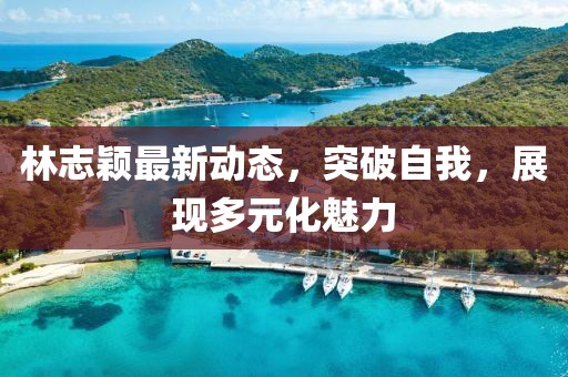 林志颖最新动态，突破自我，展现多元化魅力