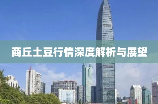 商丘土豆行情深度解析与展望