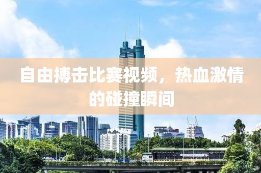 自由搏击比赛视频，热血激情的碰撞瞬间