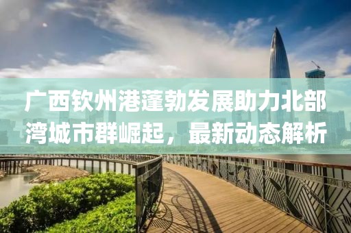 广西钦州港蓬勃发展助力北部湾城市群崛起，最新动态解析