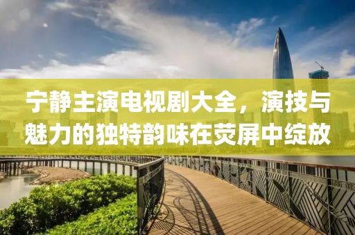 宁静主演电视剧大全，演技与魅力的独特韵味在荧屏中绽放