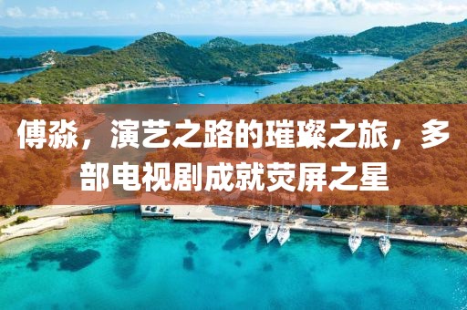 傅淼，演艺之路的璀璨之旅，多部电视剧成就荧屏之星