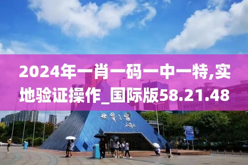 2024年一肖一码一中一特,实地验证操作_国际版58.21.48