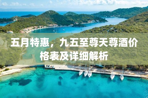 五月特惠，九五至尊天尊酒价格表及详细解析
