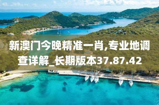 新澳门今晚精准一肖,专业地调查详解_长期版本37.87.42