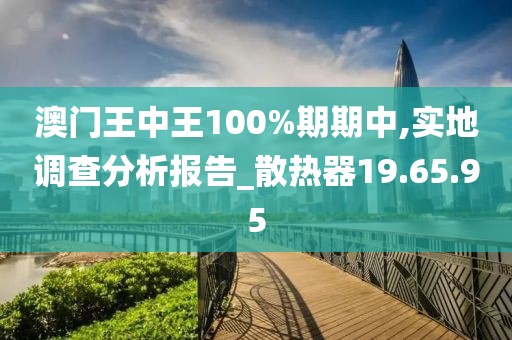 澳门王中王100%期期中,实地调查分析报告_散热器19.65.95