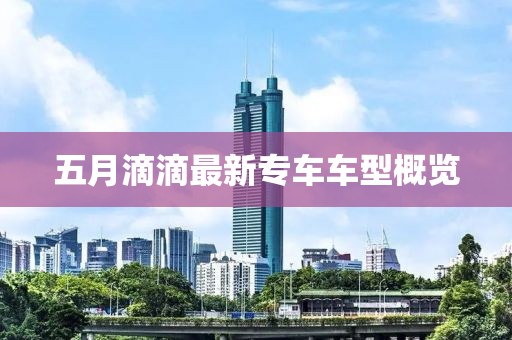 五月滴滴最新专车车型概览