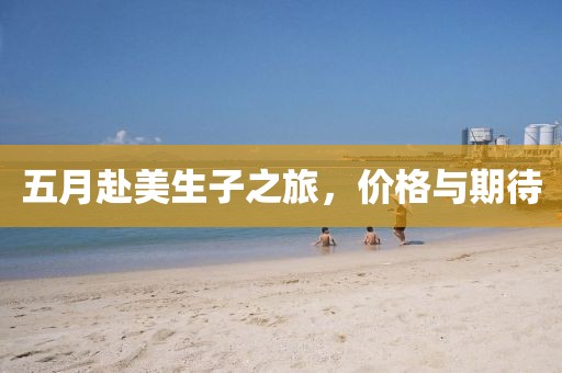五月赴美生子之旅，价格与期待