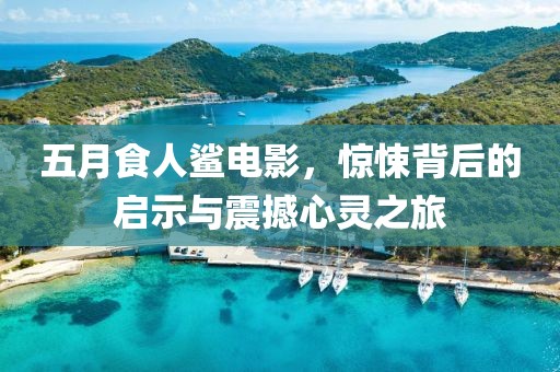 五月食人鲨电影，惊悚背后的启示与震撼心灵之旅