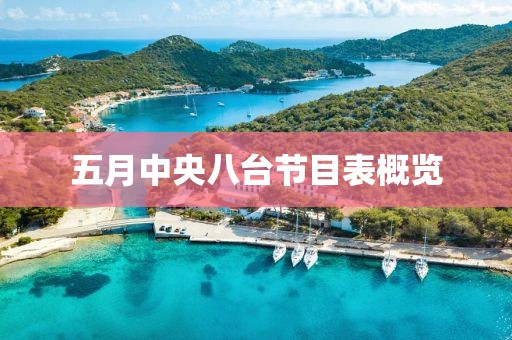 五月中央八台节目表概览