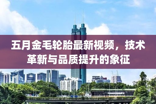 五月金毛轮胎最新视频，技术革新与品质提升的象征