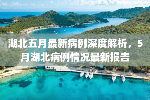 湖北五月最新病例深度解析，5月湖北病例情况最新报告