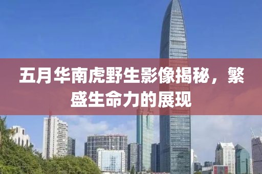 五月华南虎野生影像揭秘，繁盛生命力的展现