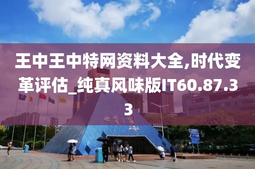 王中王中特网资料大全,时代变革评估_纯真风味版IT60.87.33