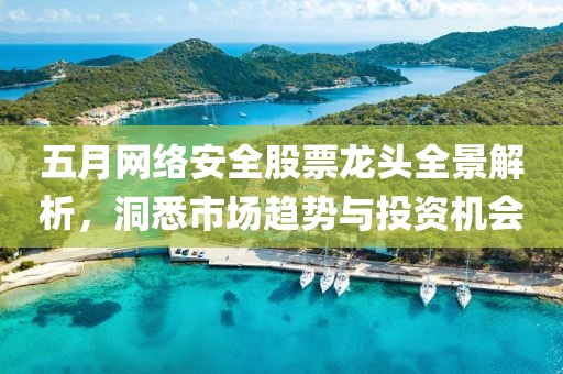 五月网络安全股票龙头全景解析，洞悉市场趋势与投资机会