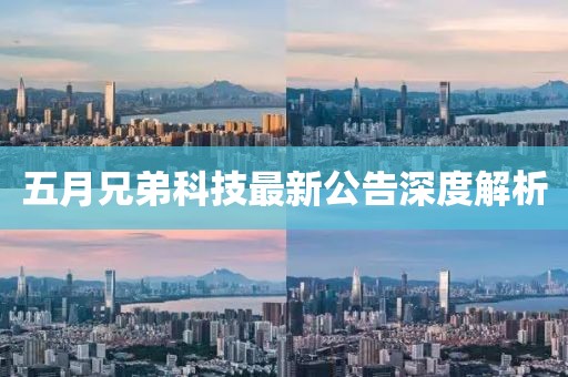 五月兄弟科技最新公告深度解析