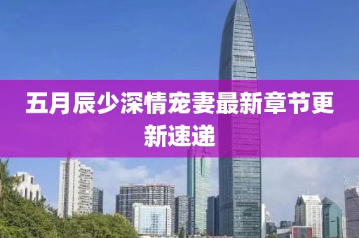 五月辰少深情宠妻最新章节更新速递