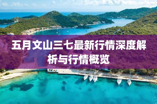 五月文山三七最新行情深度解析与行情概览