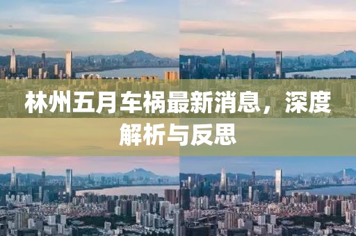 林州五月车祸最新消息，深度解析与反思