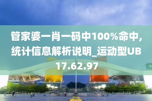 管家婆一肖一码中100%命中,统计信息解析说明_运动型UB17.62.97