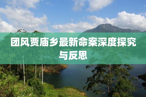 团风贾庙乡最新命案深度探究与反思