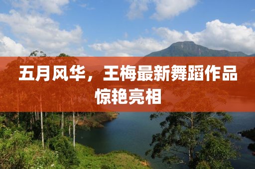 五月风华，王梅最新舞蹈作品惊艳亮相