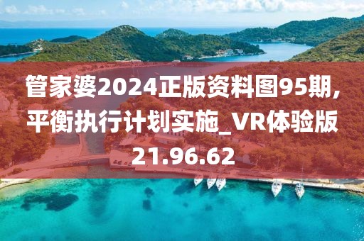 管家婆2024正版资料图95期,平衡执行计划实施_VR体验版21.96.62