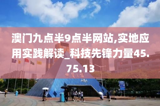 澳门九点半9点半网站,实地应用实践解读_科技先锋力量45.75.13