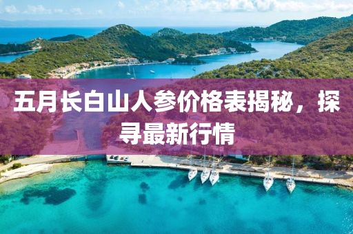 五月长白山人参价格表揭秘，探寻最新行情