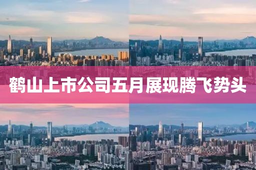 鹤山上市公司五月展现腾飞势头