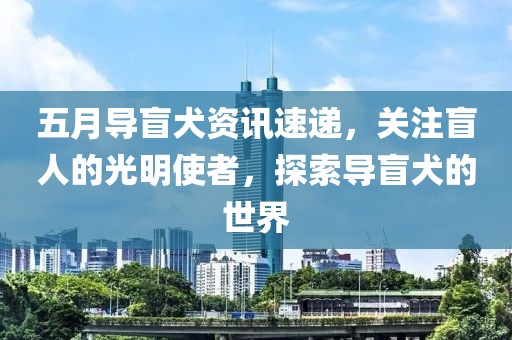 五月导盲犬资讯速递，关注盲人的光明使者，探索导盲犬的世界