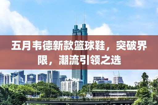 五月韦德新款篮球鞋，突破界限，潮流引领之选