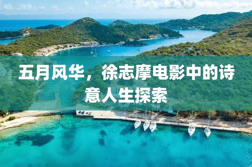 五月风华，徐志摩电影中的诗意人生探索