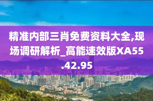 精准内部三肖免费资料大全,现场调研解析_高能速效版XA55.42.95