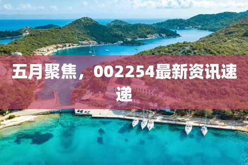 五月聚焦，002254最新资讯速递
