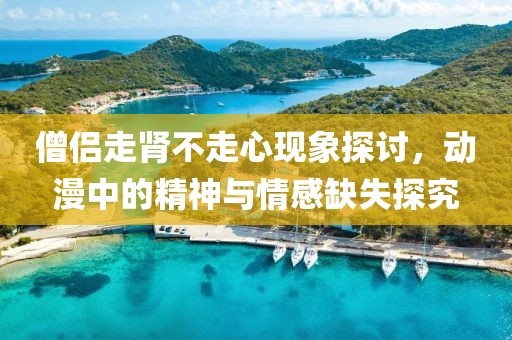 僧侣走肾不走心现象探讨，动漫中的精神与情感缺失探究