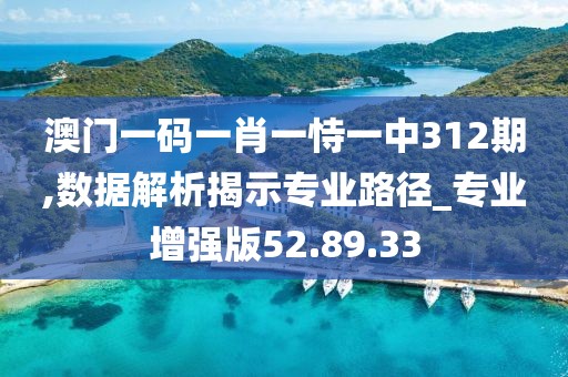 澳门一码一肖一恃一中312期,数据解析揭示专业路径_专业增强版52.89.33