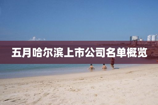 五月哈尔滨上市公司名单概览