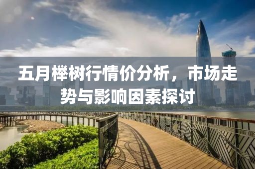 五月榉树行情价分析，市场走势与影响因素探讨