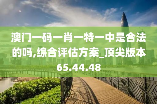 澳门一码一肖一特一中是合法的吗,综合评估方案_顶尖版本65.44.48