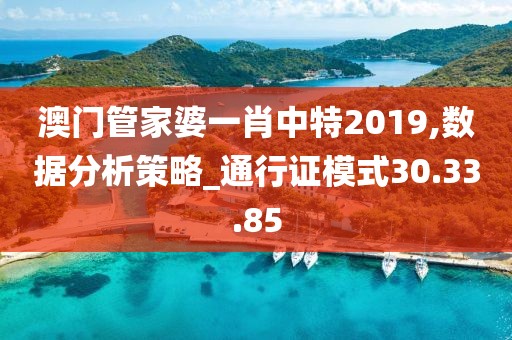 澳门管家婆一肖中特2019,数据分析策略_通行证模式30.33.85