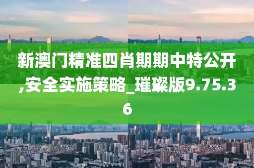 新澳门精准四肖期期中特公开,安全实施策略_璀璨版9.75.36
