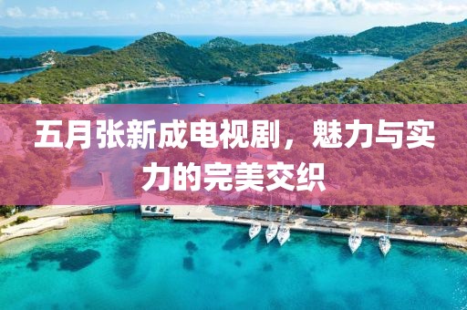 五月张新成电视剧，魅力与实力的完美交织