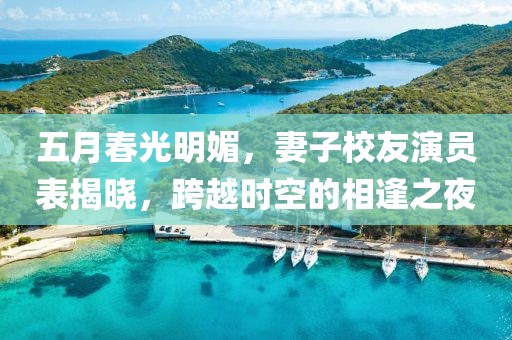 五月春光明媚，妻子校友演员表揭晓，跨越时空的相逢之夜